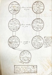 Árvore genealógica manuscrita em letra do Séc. XVIII/XIX, não datada, intitulada “ Arvore de parentesco de consanguinidade da Habilitanda D. Bernarda Rita de Almeida e Albuquerque da Q.ta da Cruz com o def.to João de Mello e Sampaio, de Farejinhas”.